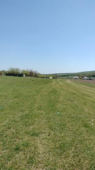 Teren Construcții extravilan de 7200 mp, în Grajduri