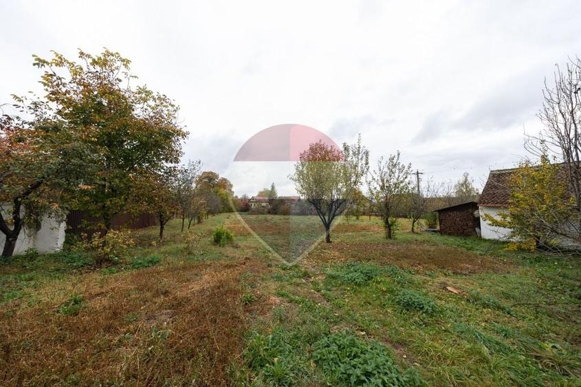 Teren Construcții intravilan de 3660 mp, în Bod