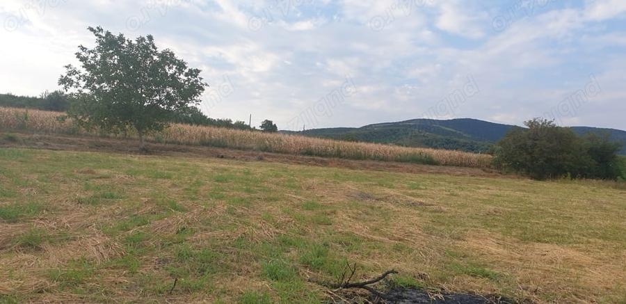 Teren de 2200 mp, în Mâsca