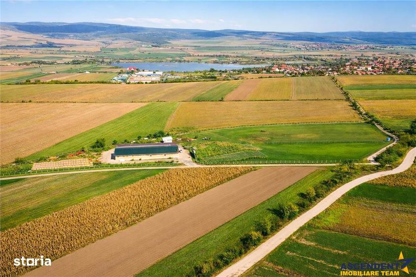Teren de 18000 mp, în Feldioara
