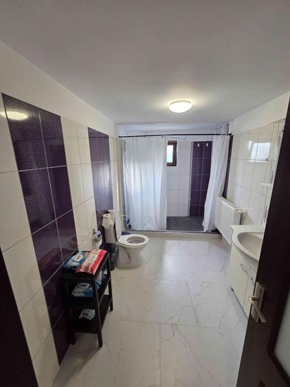 Casă cu 4 camere în Priseaca