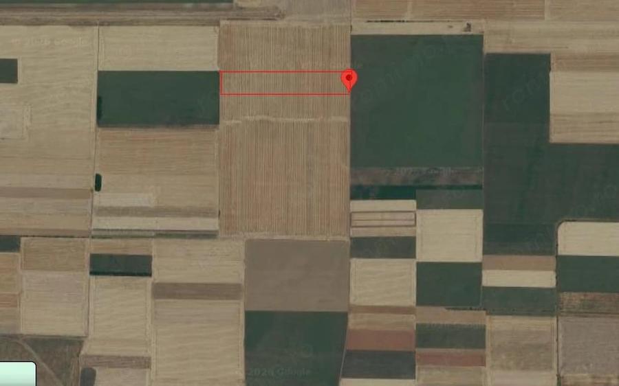 Teren de 50000 mp, în Dâlga