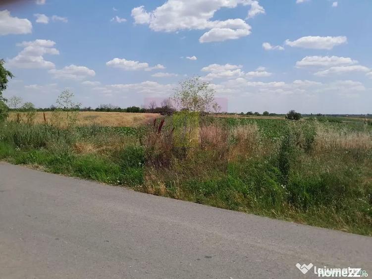 Teren în Teișori