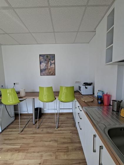 Birou, de 160.19000244141 mp, în Elisabetin