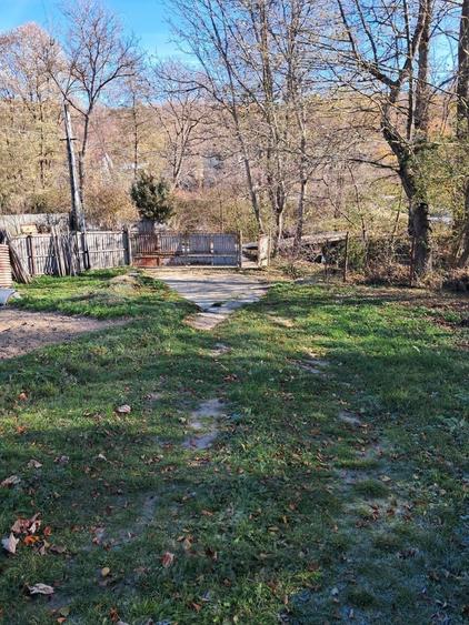 Casă cu 3 camere cu Teren 6772 Mp în Ursoaia
