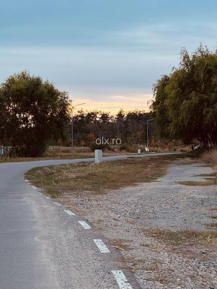 Teren de vanzare in Branesti, Strada Soarelui 500 mp, 700 mp sau 1.900 mp