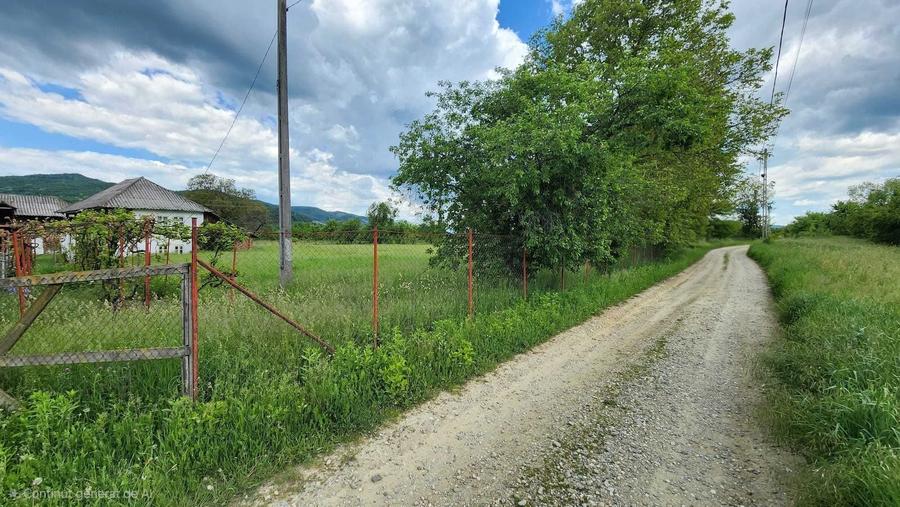 Teren de 12000 mp, în Mihăești