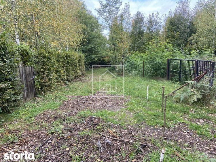 Teren intravilan 520 mp Valea Avrigului ideal cabana A-frame - 5