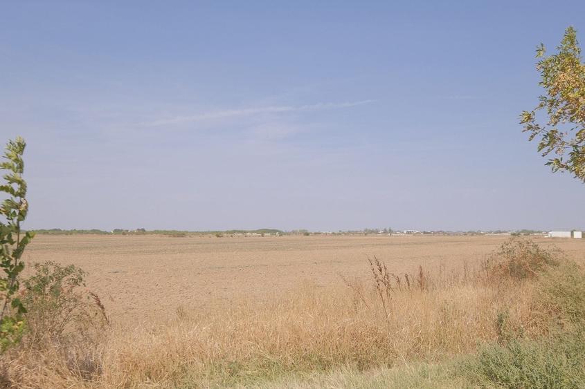 Teren Construcții intravilan de 57000 mp, în Exterior Sud