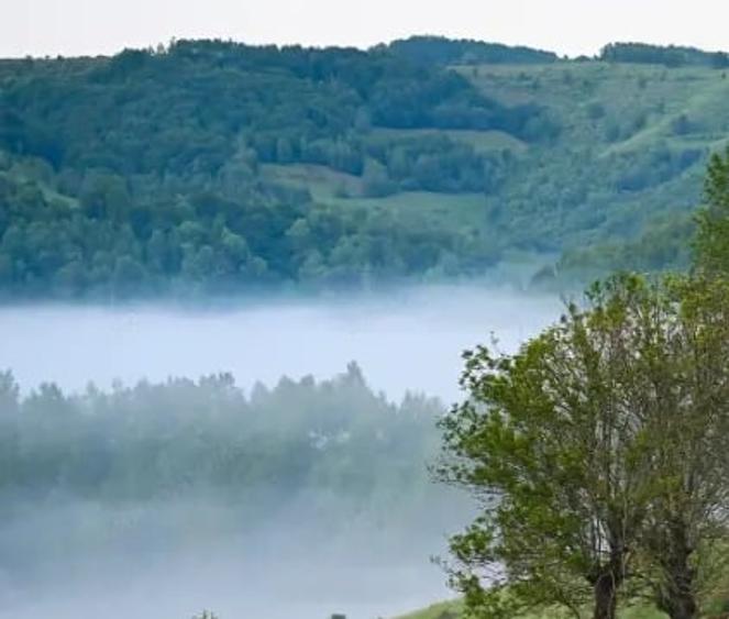 Teren de 17000 mp, în Nucșoara