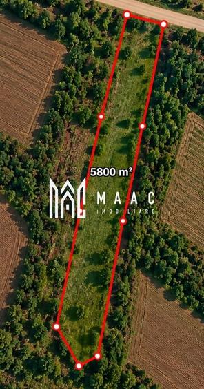 Teren agricol extravilan de 5800 mp, în Daia