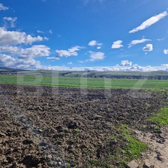 Teren agricol extravilan de 15000 mp, în Bod
