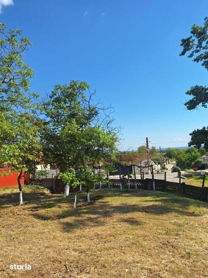 Casă cu 3 camere cu Teren 1686 Mp în Central