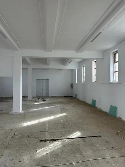 Spațiu industrial, de 1,300 mp, în Brestei