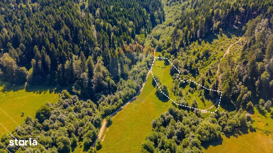 Teren de 6000 mp, în Brădet
