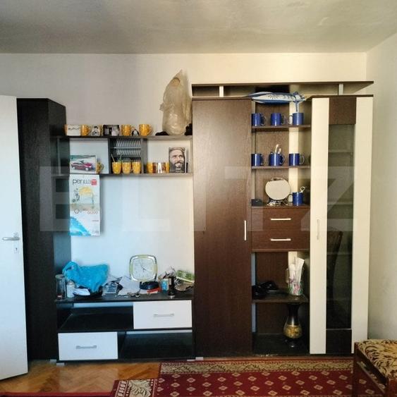 Apartament cu 2 camere semidecomandat, mobilat în Mureșeni