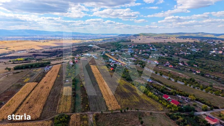 Teren de 5000 mp, în Câineni