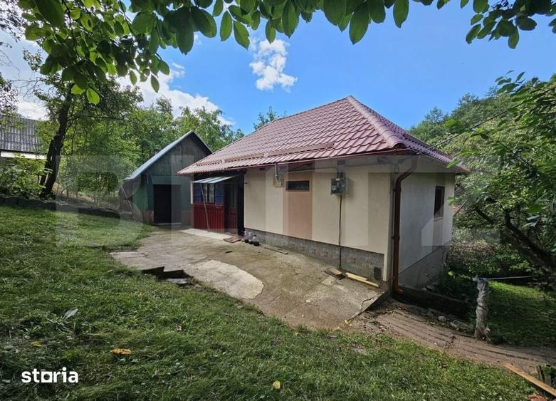 Casă cu 2 camere cu Teren 10000 Mp în Almașu Mare