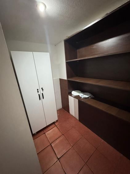 Spațiu comercial, de 147.19999694824 mp, în Camil Ressu