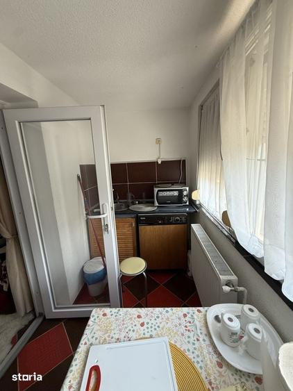 Apartament cu o camera, 18 mp utili, parter- zona Sagului - 3