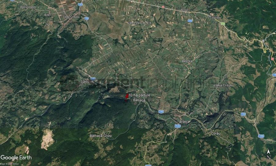 Teren extravilan de 100000 mp, în Șuncuiș