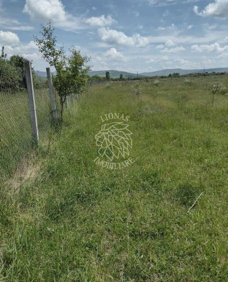 Teren agricol extravilan de 23700 mp, în Jelna