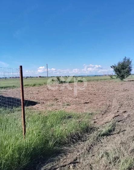 Teren Construcții extravilan de 303 mp, în Bradu