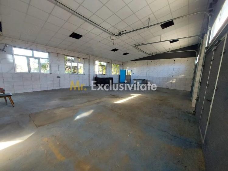Spațiu comercial, de 250 mp, în Bascov