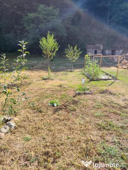 Casă cu 3 camere în Căzănești