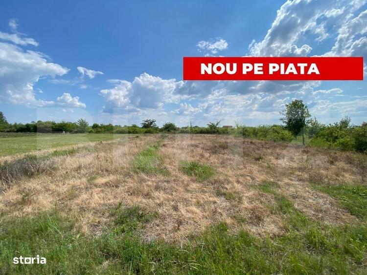 Spațiu comercial, în Sud