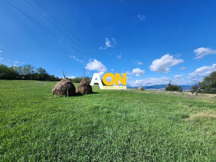 Teren Construcții intravilan de 2965 mp, în Periferie