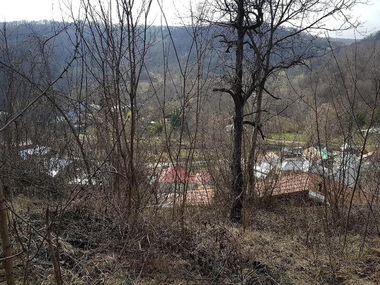 Teren de 2700 mp, în Telega