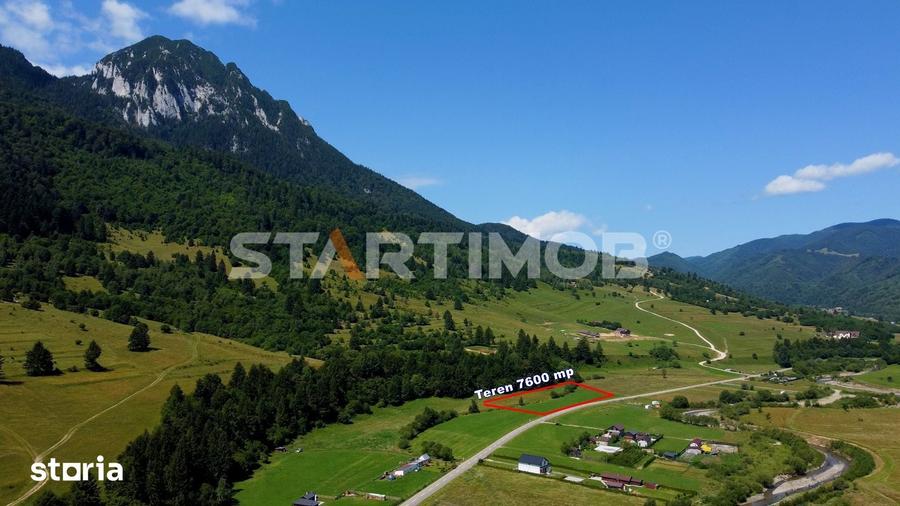 Teren de 7600 mp, în Plaiul Foii