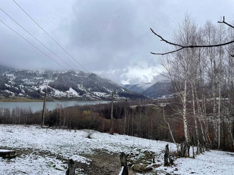 Teren de 5100 mp, în Rusca