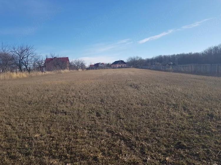 Teren de 5000 mp, în Schitu Hadâmbului