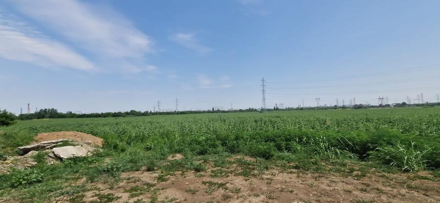Teren Construcții intravilan de 45552 mp, în Splaiul Unirii