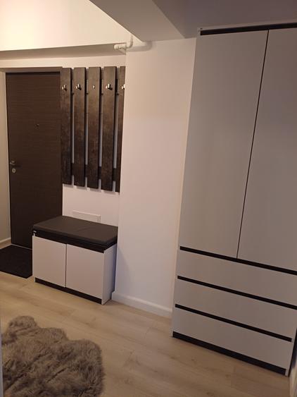 Ofer spre inchiriere apartament 2 camere ,loc de parcare Conest Ozana - 4