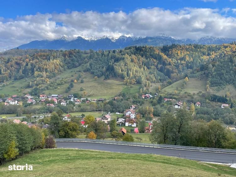Teren de 4700 mp, în Moieciu