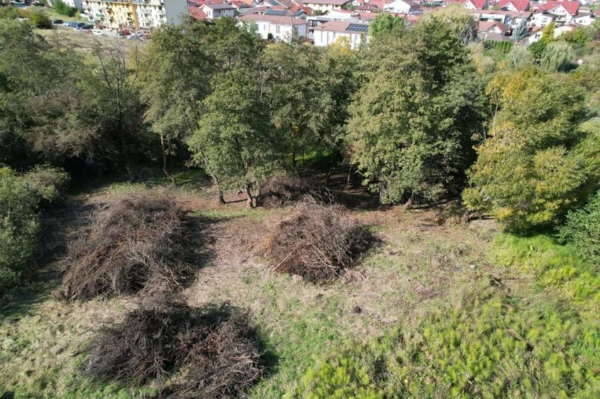 Teren în Câmpului