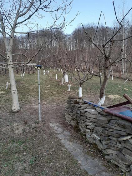Casă cu Teren 5000 Mp în Bughea de Jos