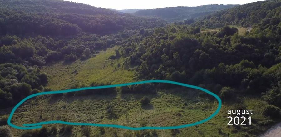 Teren de 5000 mp, în Micești