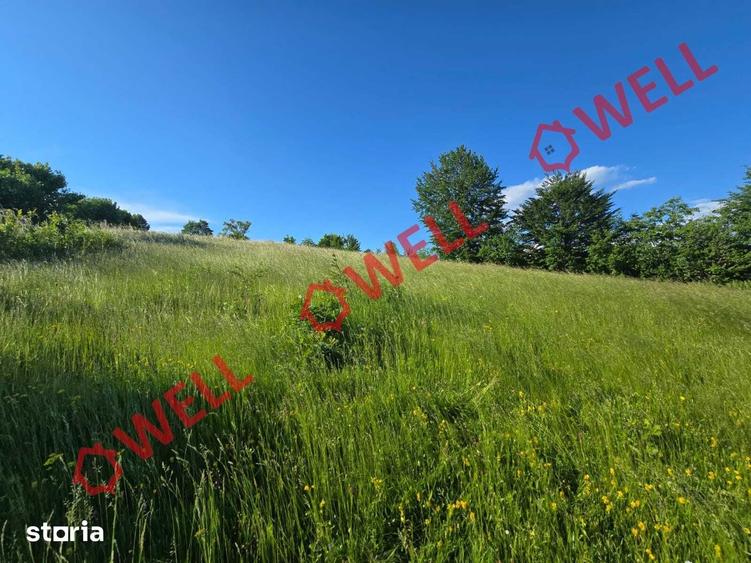 Teren de 8163 mp, în Vama Buzăului