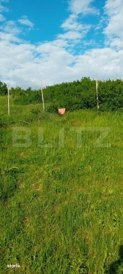Teren de 490 mp, în Bucium