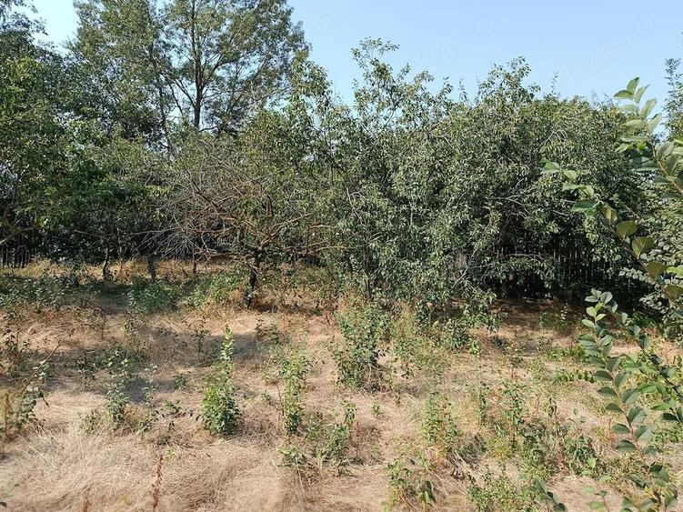 Casă cu Teren 2800 Mp în Ciurari