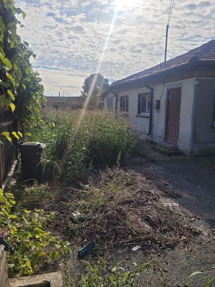 Casă individuală cu 7 camere cu Canalizare în Coiciu