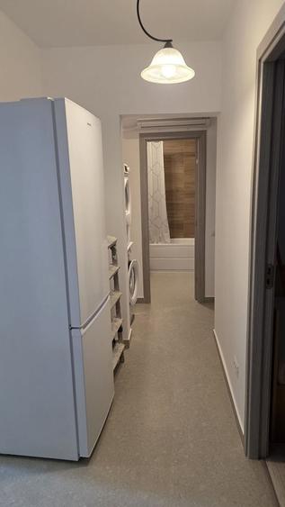Inchiriere Apartament 3 Camere Doamna Ghica Plumbuita Colentina Tei - 8