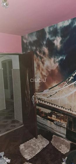 3 camere aradului model mare