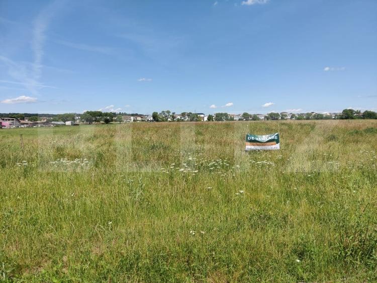 Teren agricol extravilan de 8782 mp, în Cisnădie