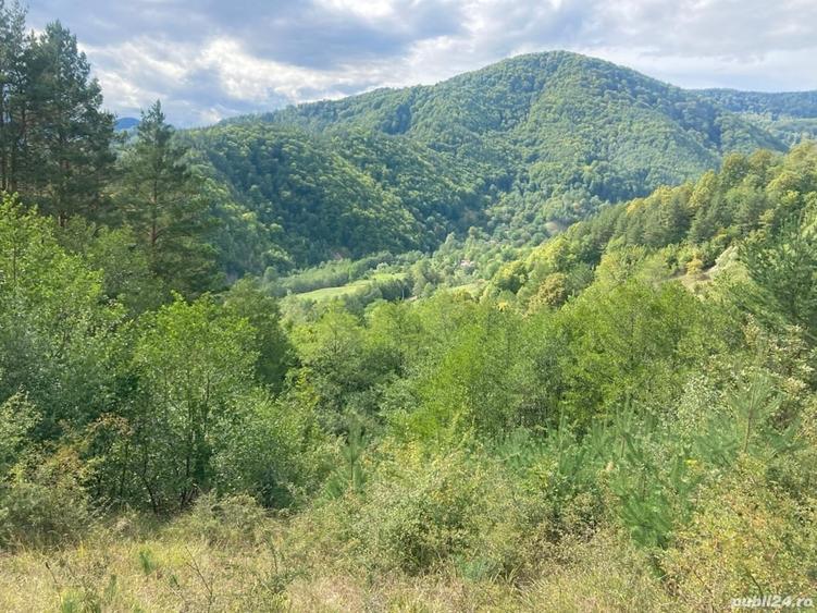 Teren de 4420 mp, în Vinețisu
