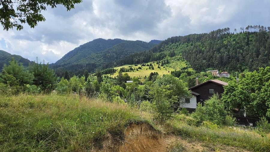Teren Construcții intravilan de 850 mp, în Turcheș